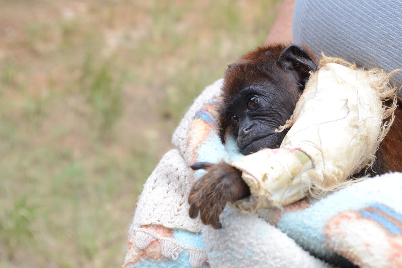 DSC_0095.jpg