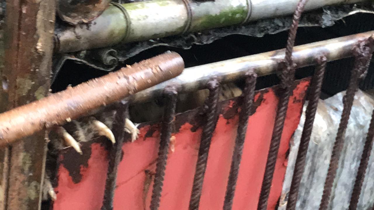 IMG-20190129-WA0005.jpg