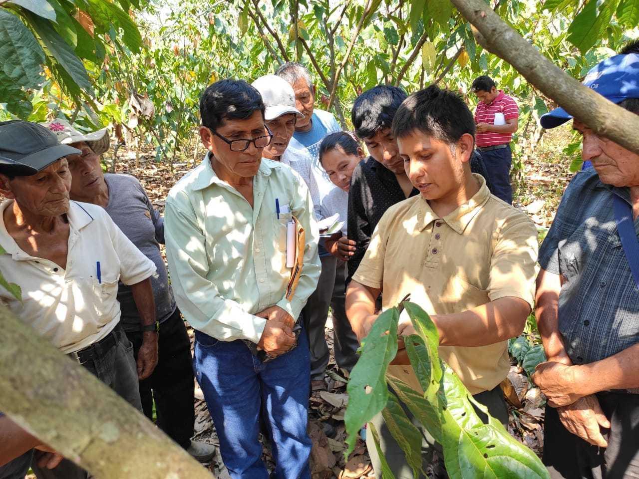 Productores de Tambopata son capacitados para obtener certificación orgánica
