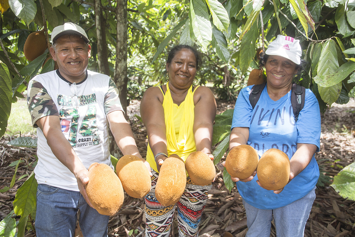 Presentan avances del Plan de Desarrollo Sostenible a autoridades de Madre de Dios
