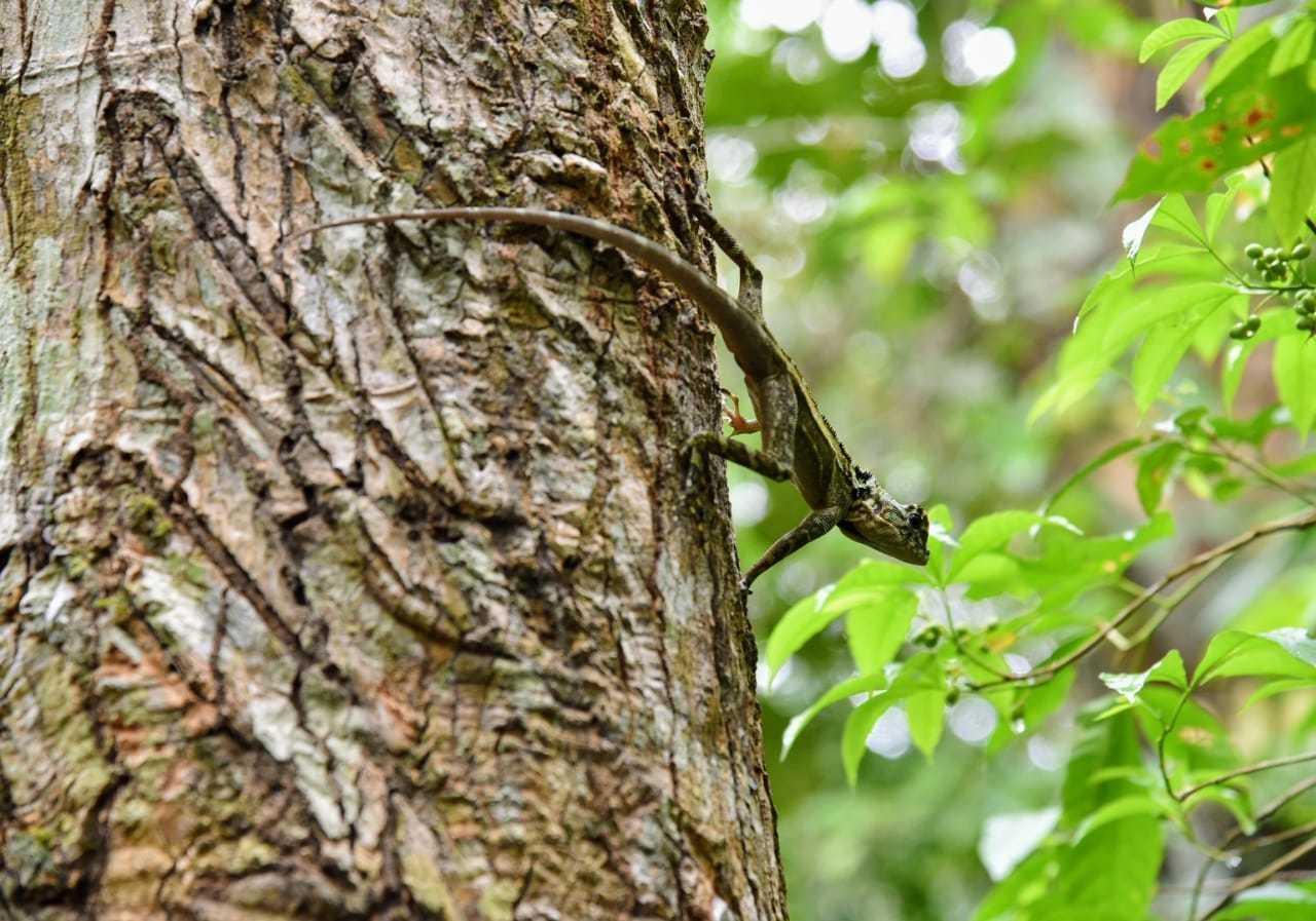 Bioblitz 2019 reunió a estudiantes para conocer mejor la biodiversidad de Madre de Dios