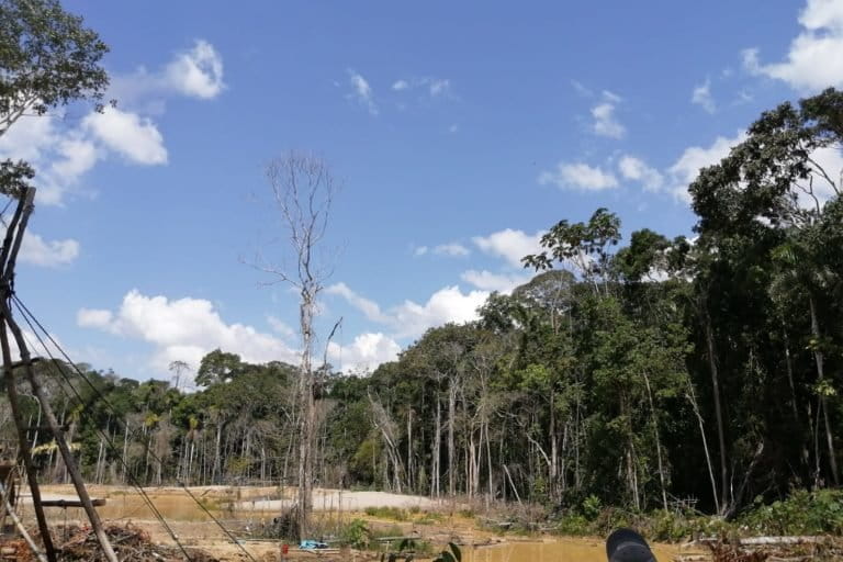 minería ilegal pariamanu