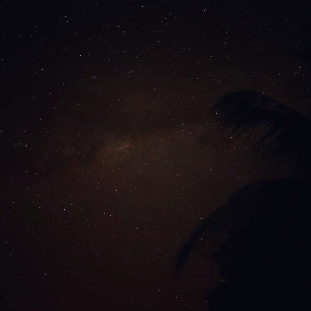 2020122123124457316.jpg