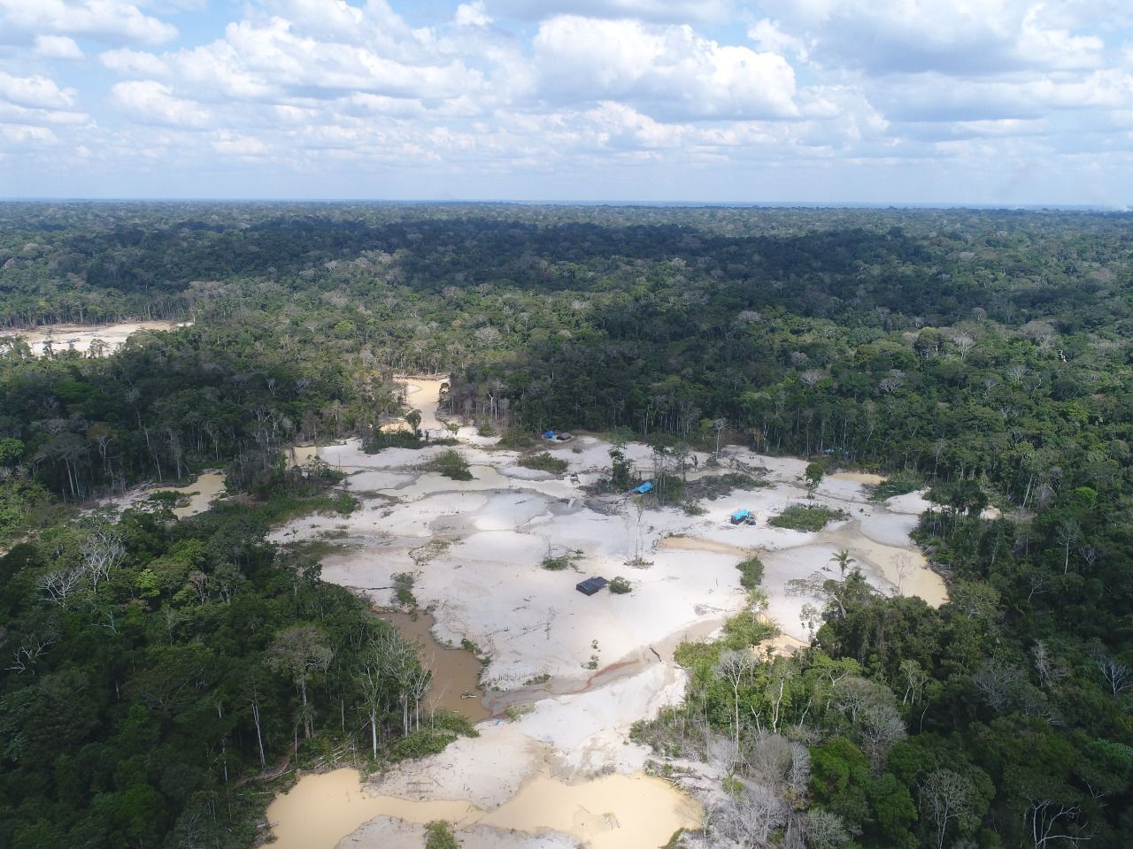 En un año y tres meses, la minería ilegal causó una deforestación de 105 hectáreas en el Pariamanu. Foto: FEMA.