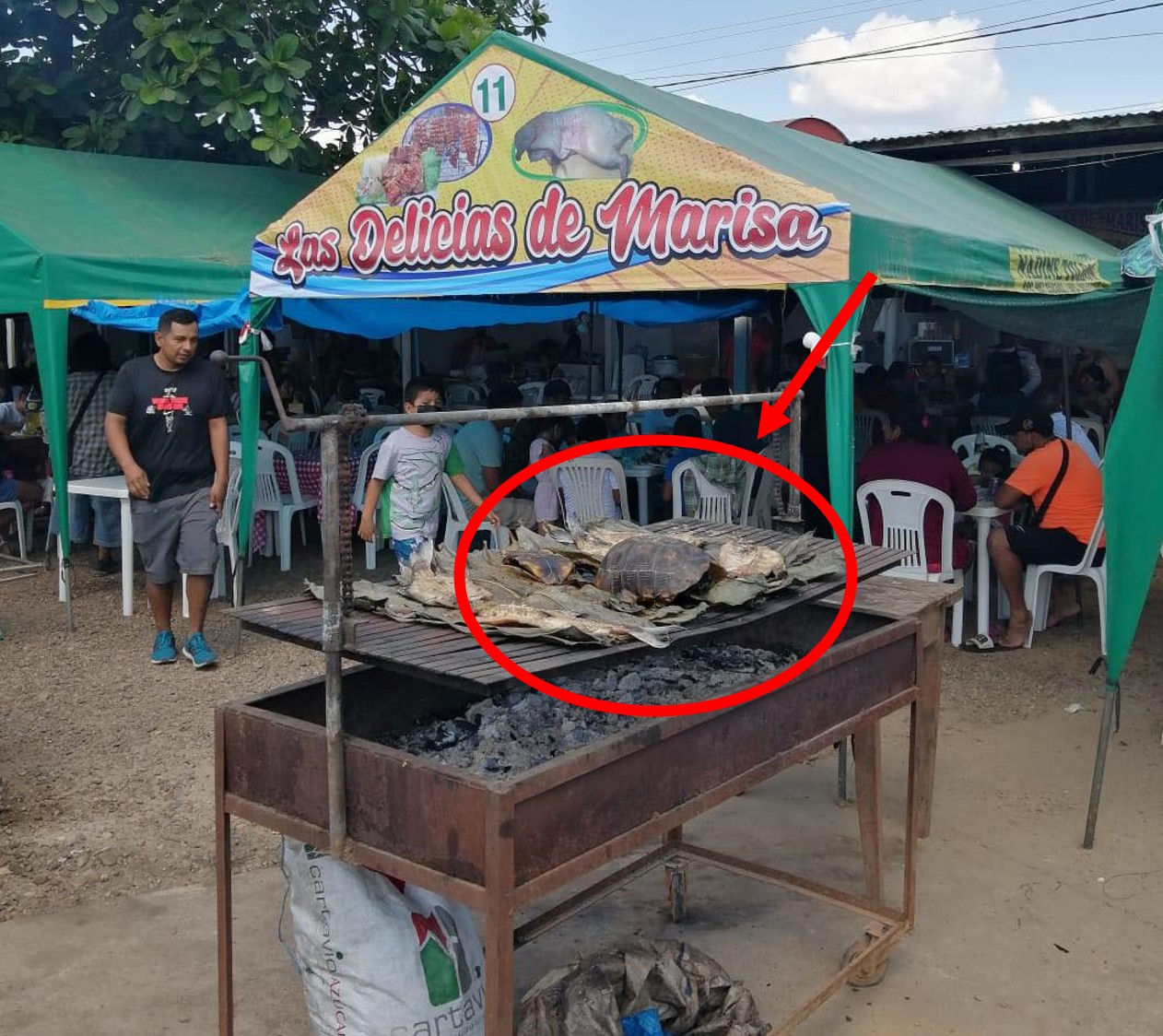 El caparazón encontrado en plena feria. (Foto: GRFFS)