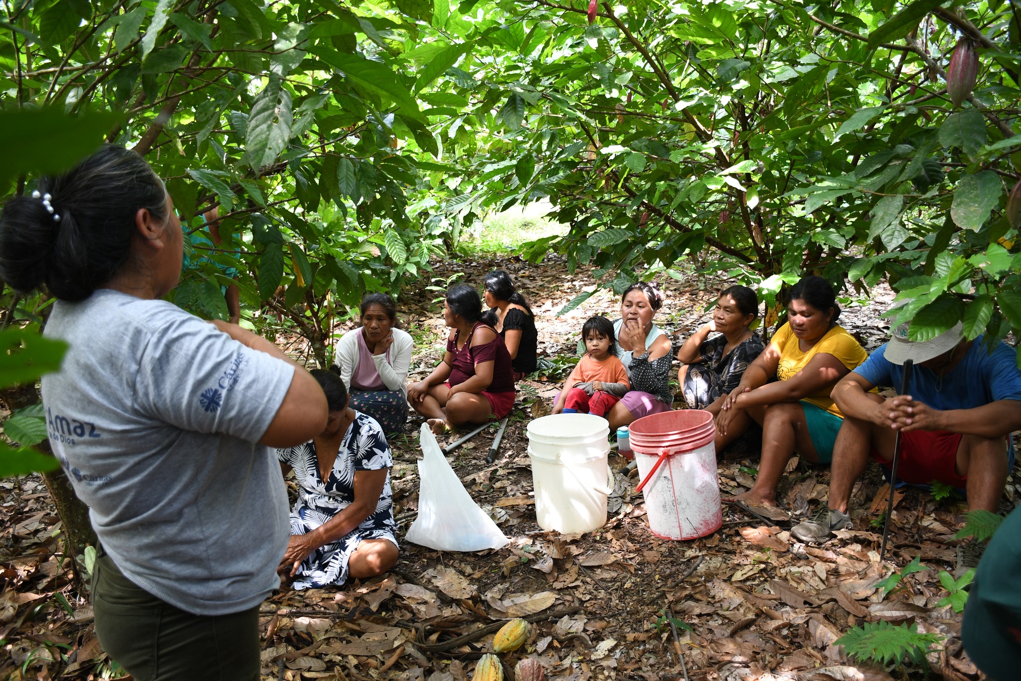 Comunidades nativas fortalecieron sus conocimientos sobre el cultivo de cacao.