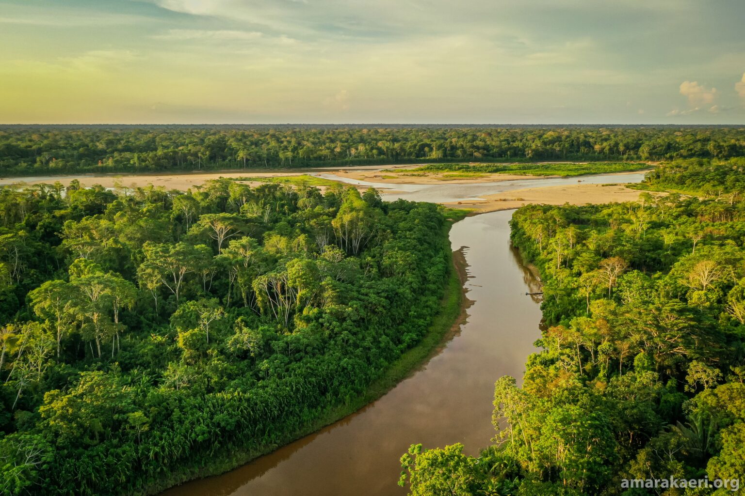 Elecciones en Perú: la mayoría de las propuestas sobre la Amazonía no incluyen a defensores y autonomías indígenas