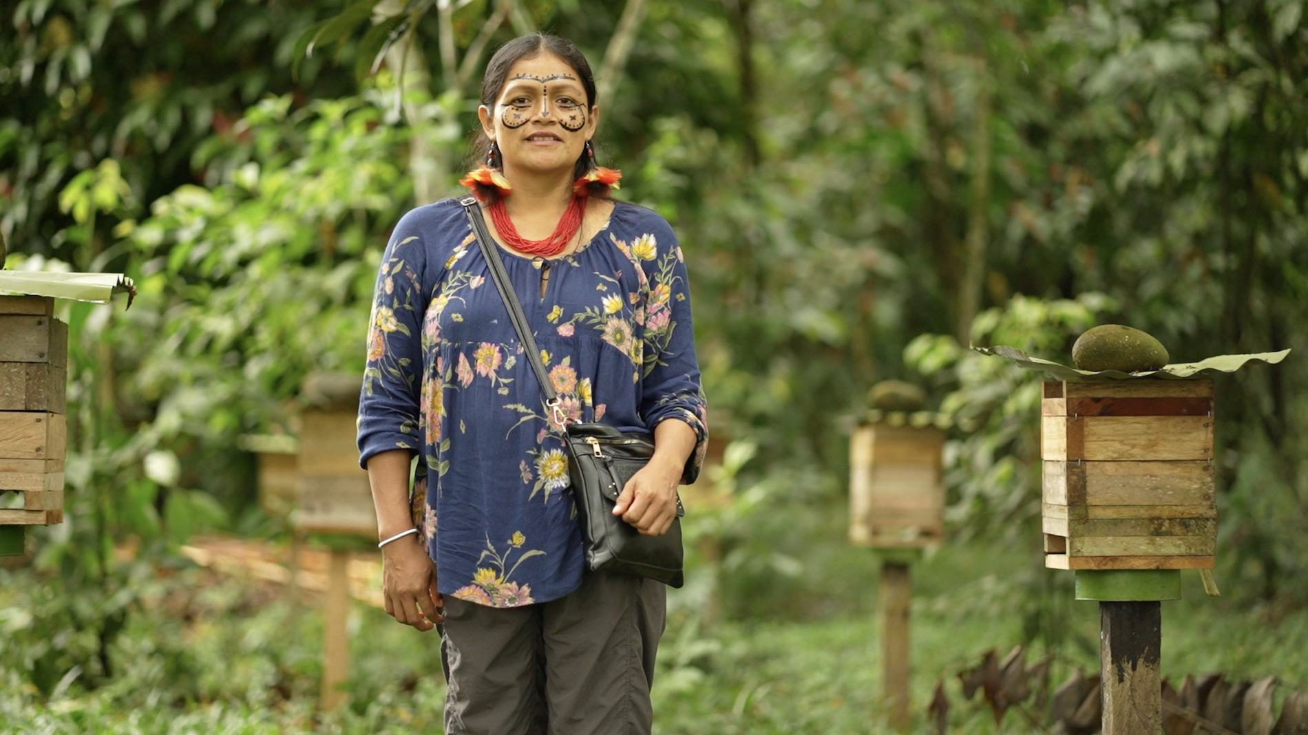 Día Mundial de las Abejas 2026