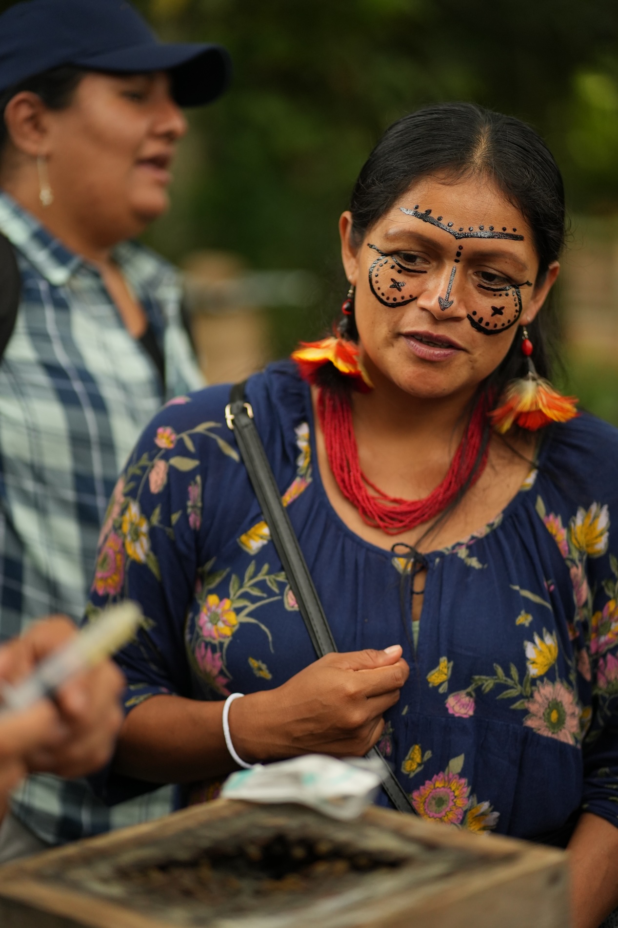 Día Mundial de las Abejas 2026