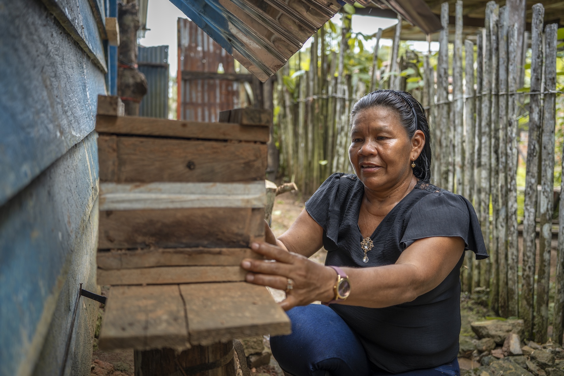 Día Mundial de las Abejas 2026