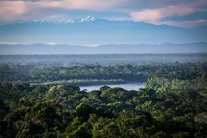 La Amazonía peruana es identificada como un importante corredor climático. Especialistas alertan sobre las amenazas que enfrentan por distintas actividades. Foto: cortesía Conservación Amazónica (ACCA)
